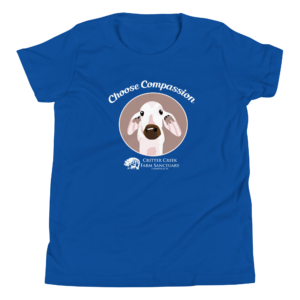 Choose Compassion Youth Tee