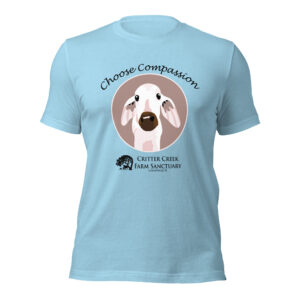 Choose Compassion Tee