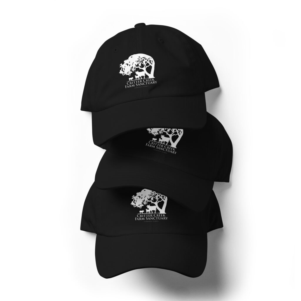 White Logo Dad Hat