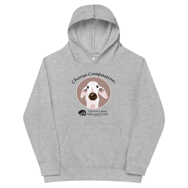 Choose Compassion Youth Hoodie - Image 3