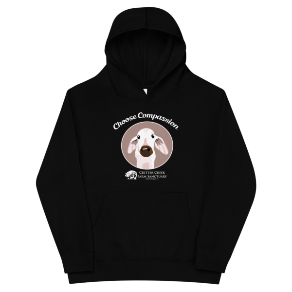 Choose Compassion Youth Hoodie