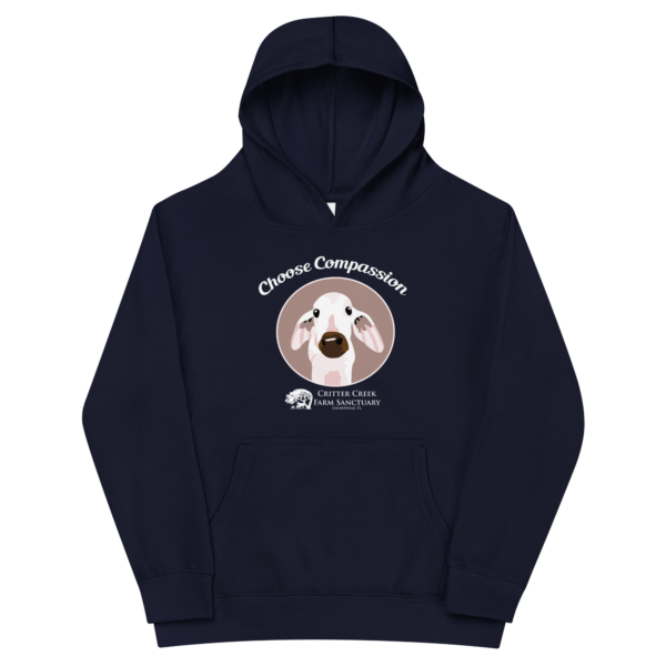 Choose Compassion Youth Hoodie - Image 2