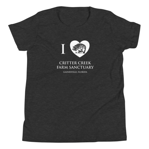 I ❤️ Critter Creek Youth Tee - Image 10