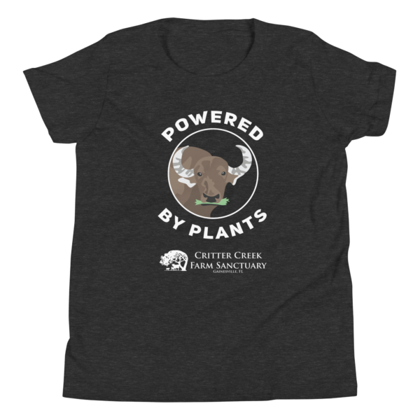 Powered by Plants Youth Tee - Image 10