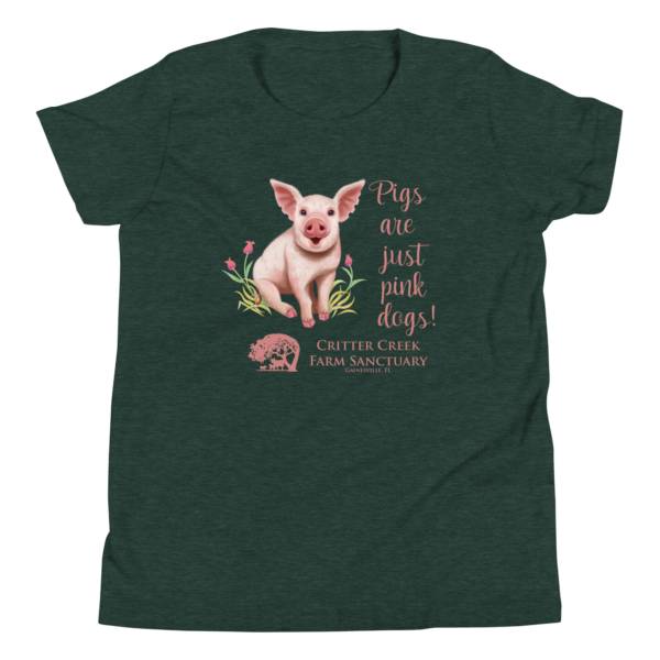 Pigs Are Just Pink Dogs Youth Tee - Image 7