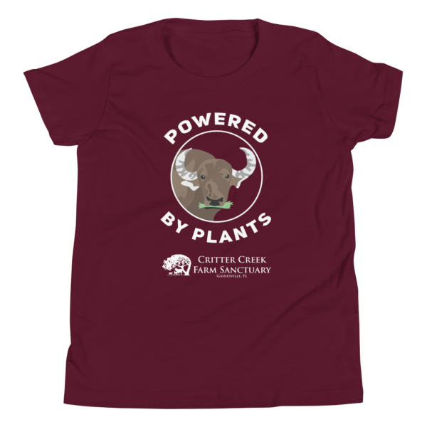 Powered by Plants Youth Tee - Image 8